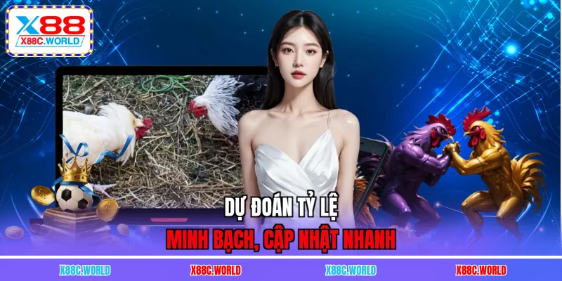 Dự đoán tỷ lệ minh bạch, cập nhật nhanh