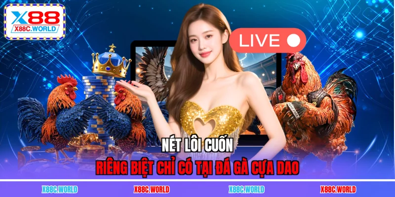 Nét lôi cuốn riêng biệt chỉ có tại đá gà cựa dao